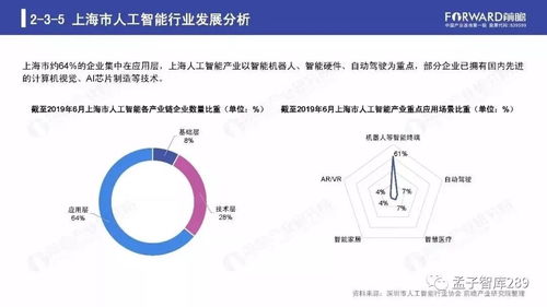 2019年人工智能行業(yè)現(xiàn)狀與發(fā)展趨勢報告 聚焦人工智能應用軟件開發(fā)